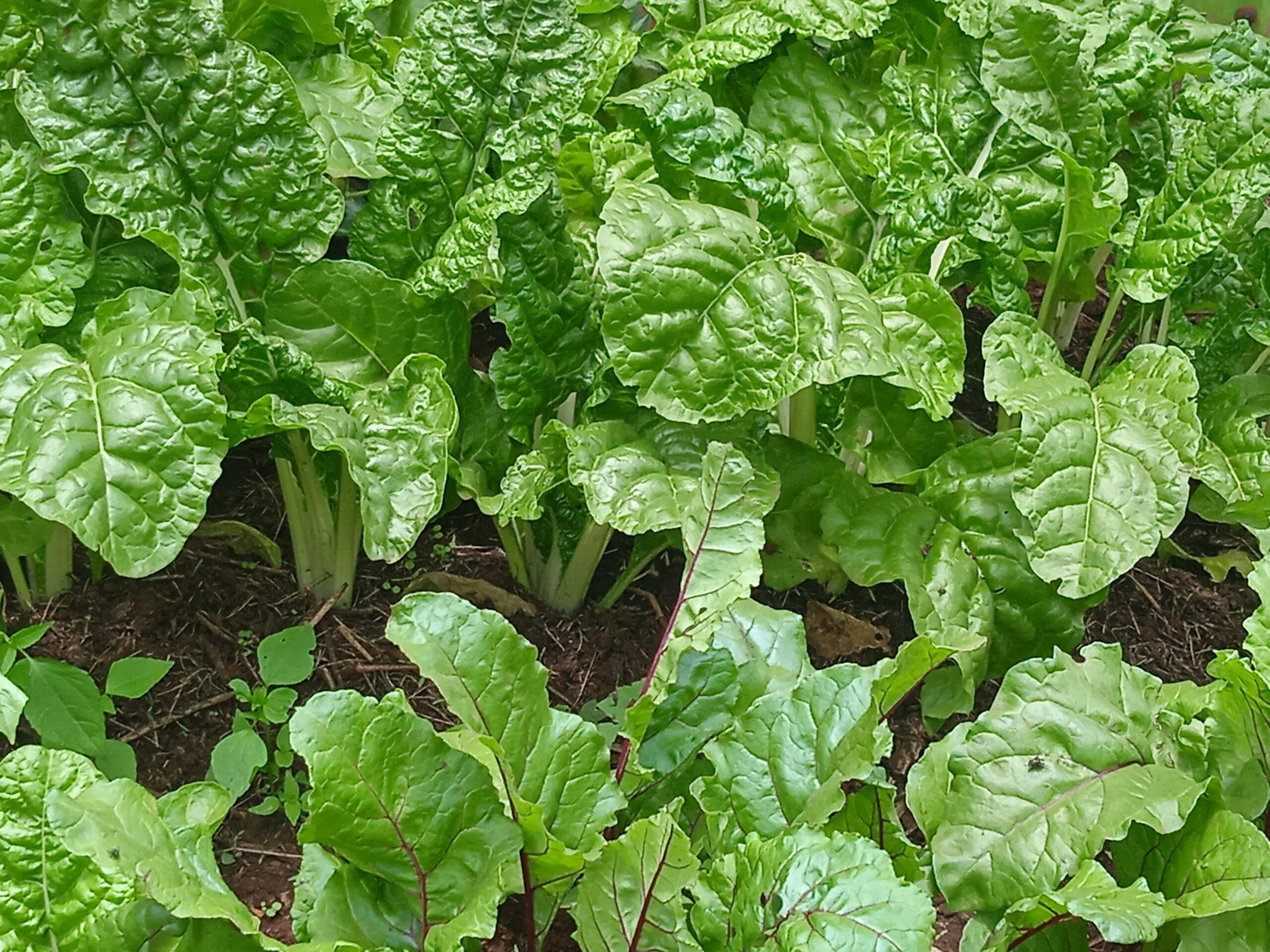 IMG_20220915_120605-scaled